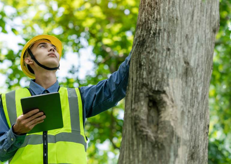 Who Can Conduct Tree Surveys