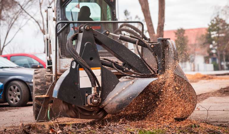 Why Choose Tree Surgeon Pro For Your Stump Removal Project