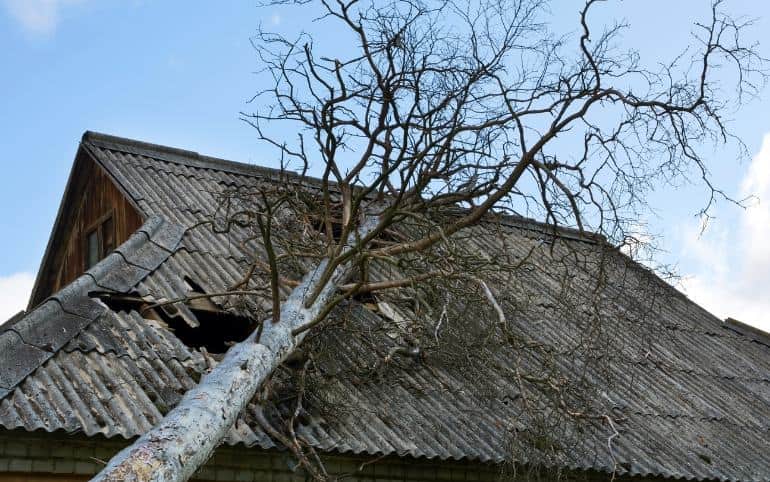 Emergency Tree Surgeon in Chopwell