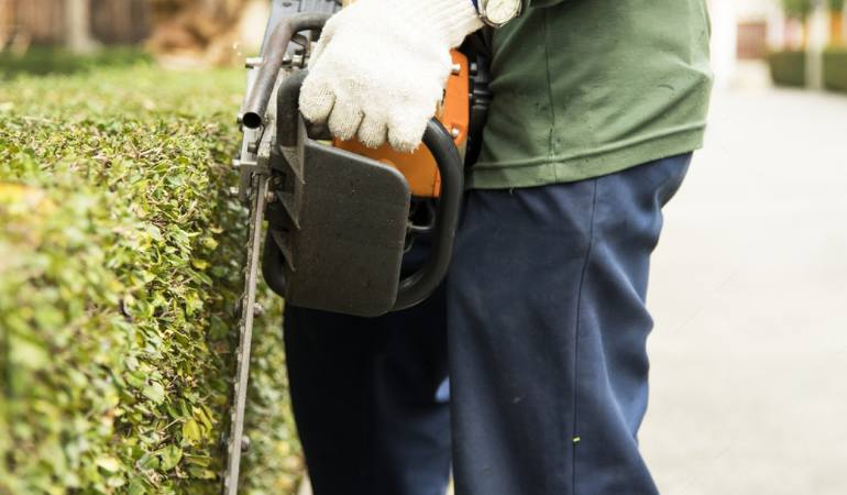Hedge Removal in Whitley Bay | Premium Hedge Trimming Services