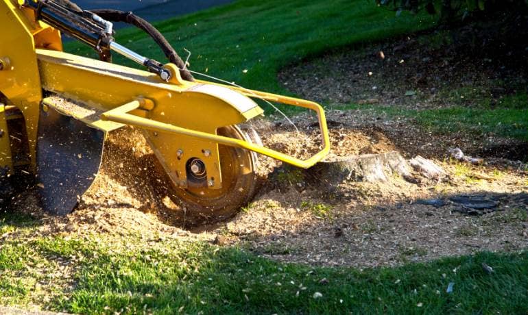 Stump Grinding in Gateshead | Tree Stump Grinding Service