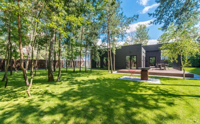 Tree Report For Mortgage In Wheatley Hill