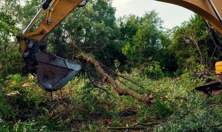 Vegetation Removal in Great Lumley